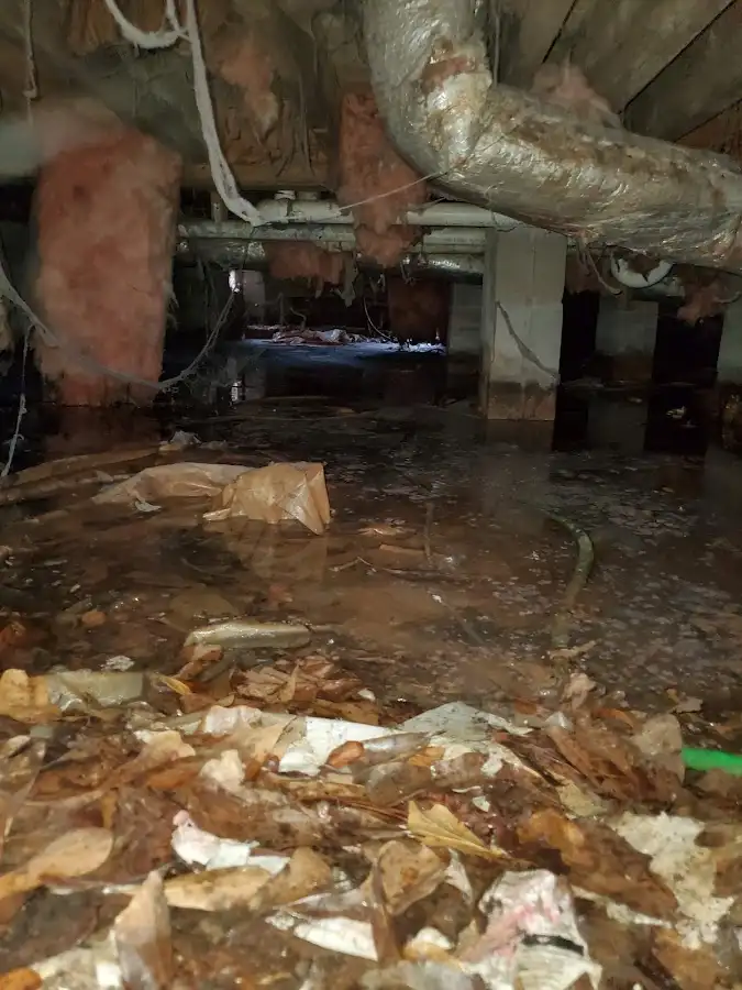 Crawl space flood assessment for Leak Detection & Repair in Jerome